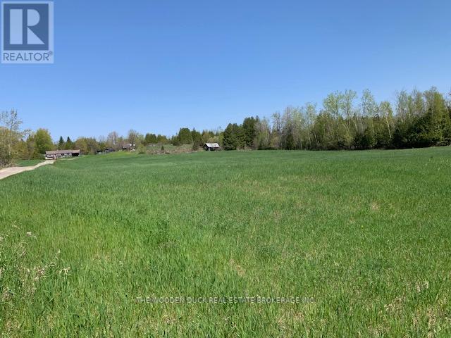Photo 8 of 172 Dewey Road, Havelockbelmontmethuen ON