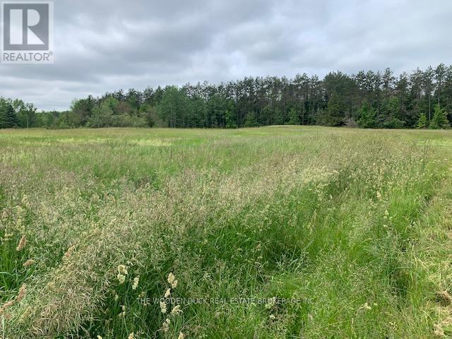 Photo 20 of 172 Dewey Road, Havelockbelmontmethuen ON