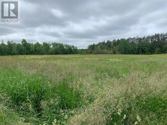Photo 10 of 172 Dewey Road, Havelockbelmontmethuen ON