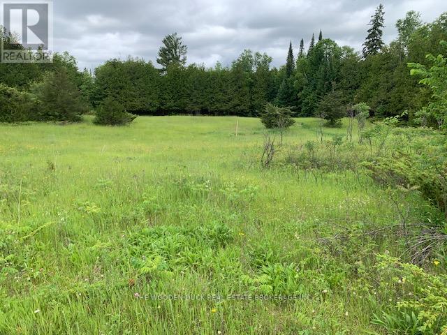 Photo 12 of 172 Dewey Road, Havelockbelmontmethuen ON