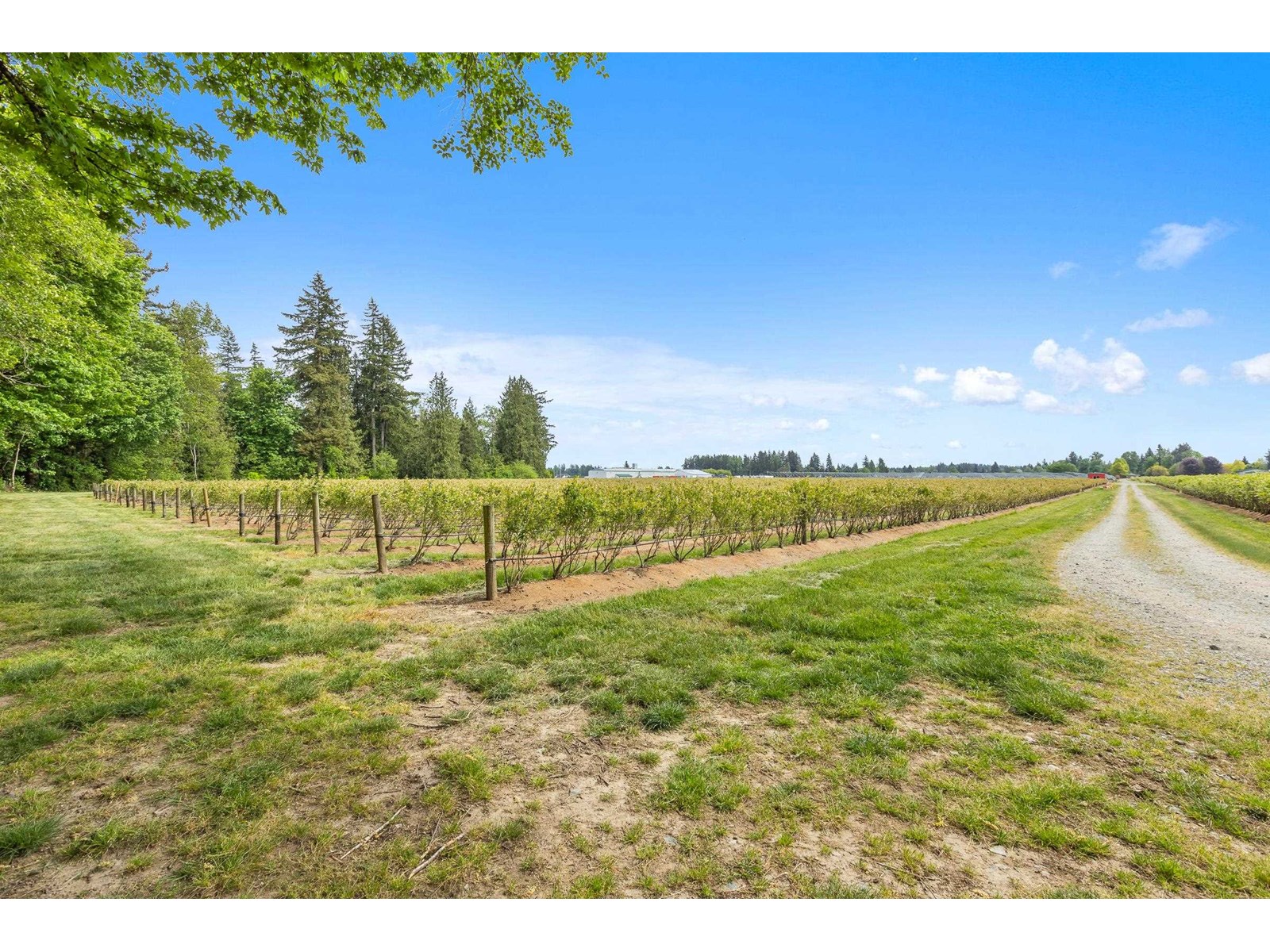7361 240 STREET, Langley