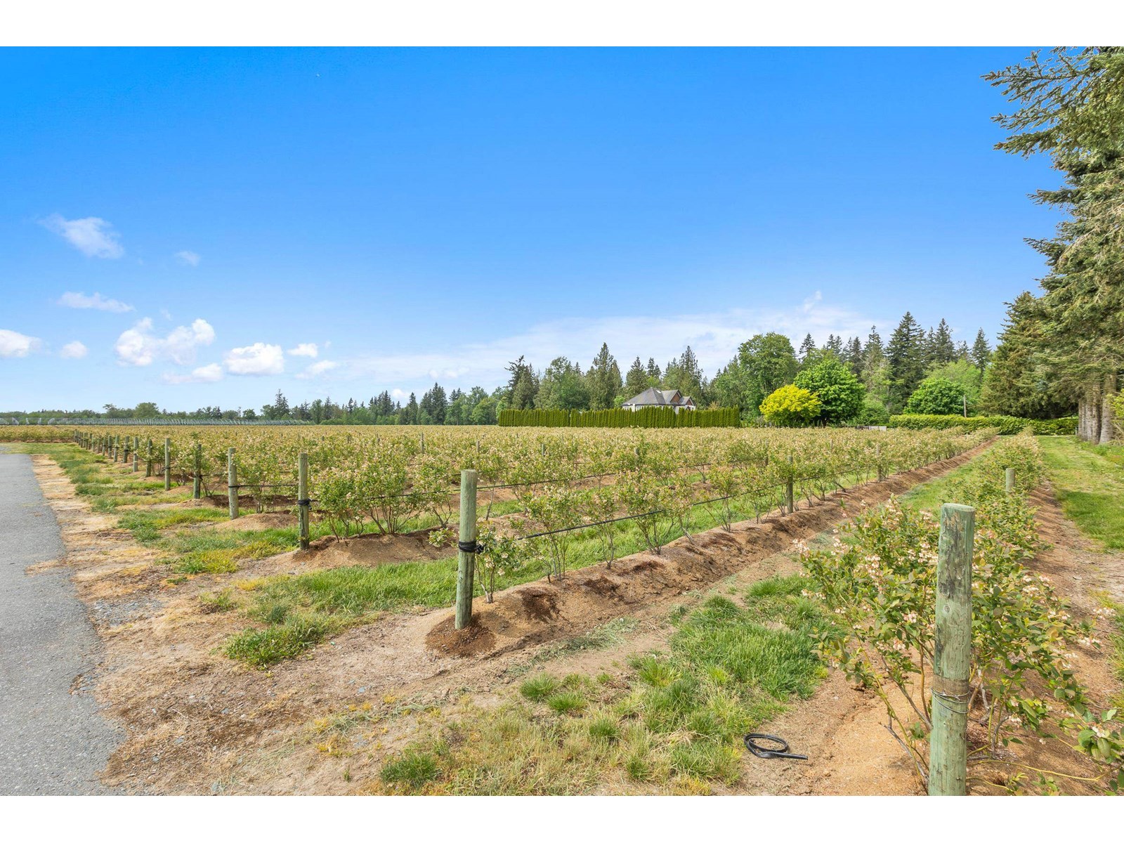 7361 240 STREET, Langley