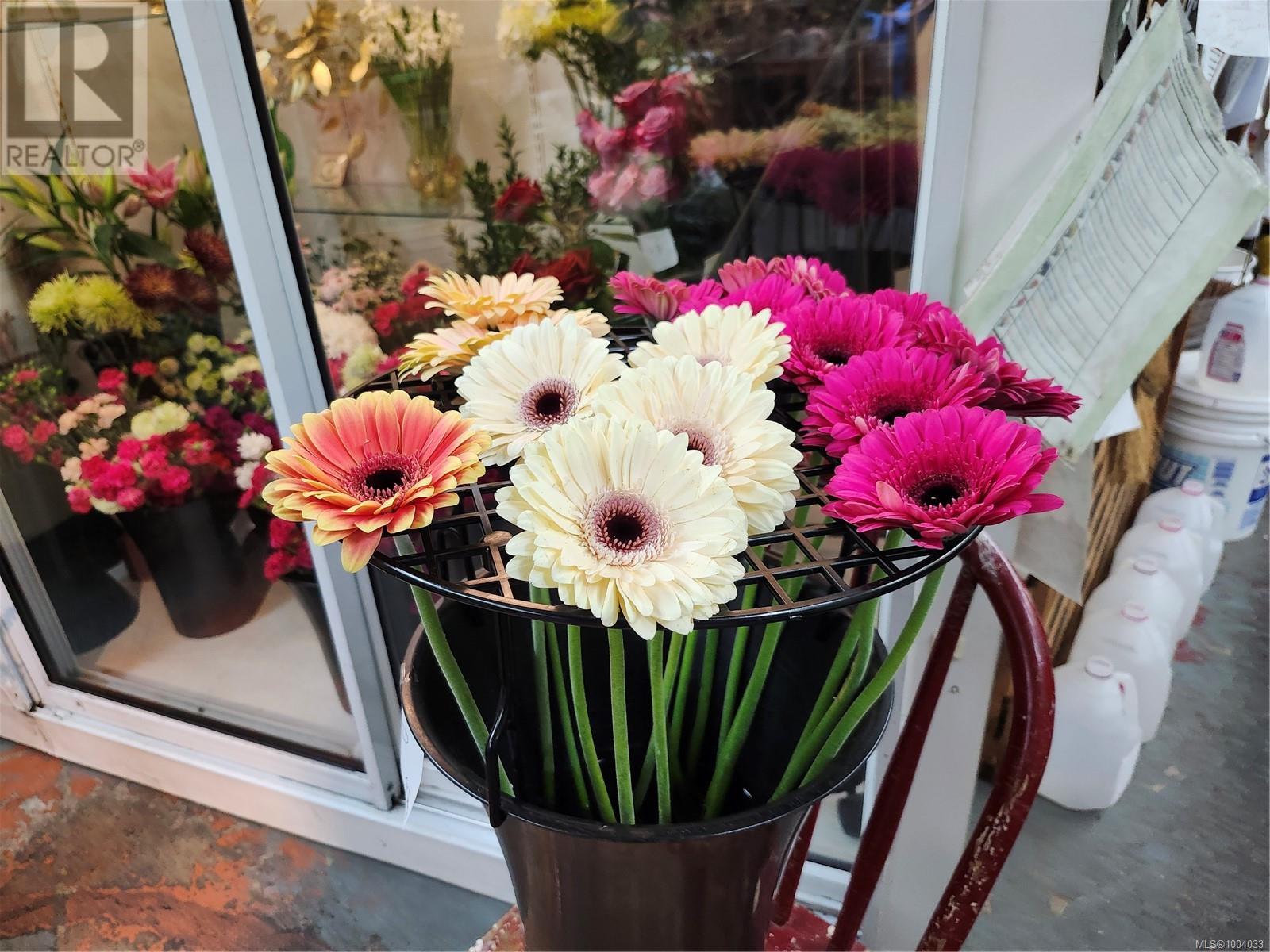 2 102 Island Hwy E, Parksville