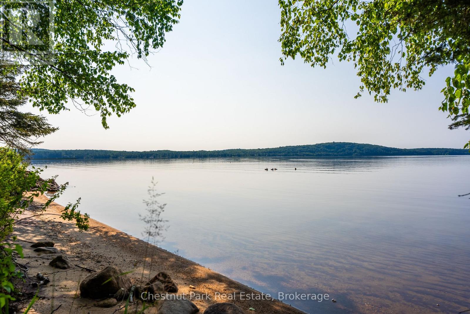 Photo 7 of 1 5 Barrie Street, Sundridge ON