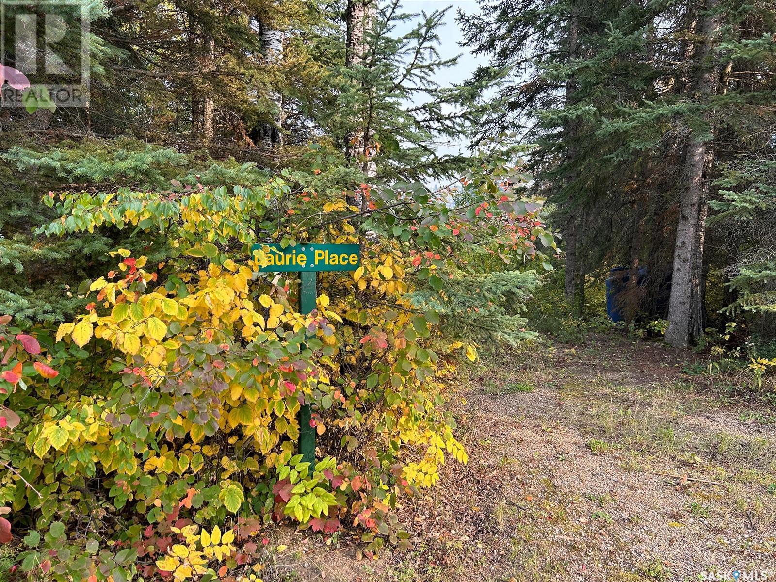 Photo 4 of 1301 Laurie Place, Paddockwood Rm No 520 SK