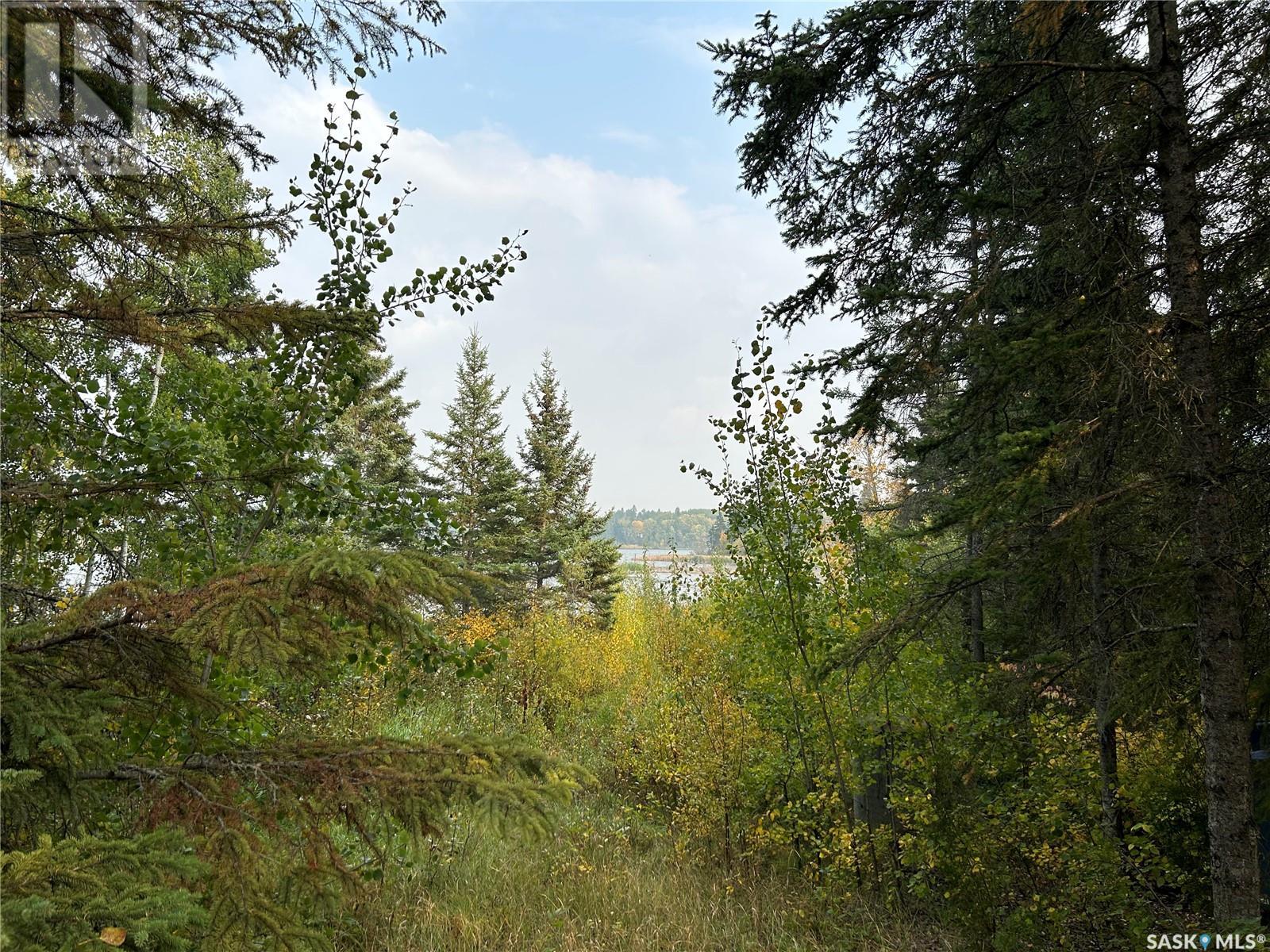Photo 7 of 1301 Laurie Place, Paddockwood Rm No 520 SK