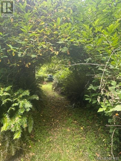 77 PILKEY POINT RD - 17