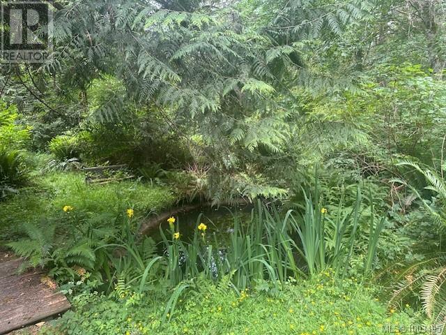 77 PILKEY POINT RD - 21