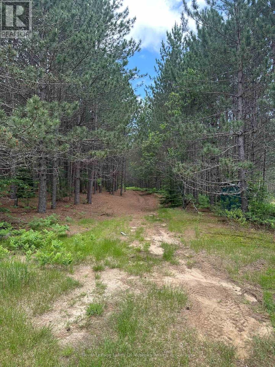Photo 3 of 1958 518 Highway, Mcmurrich Monteith ON