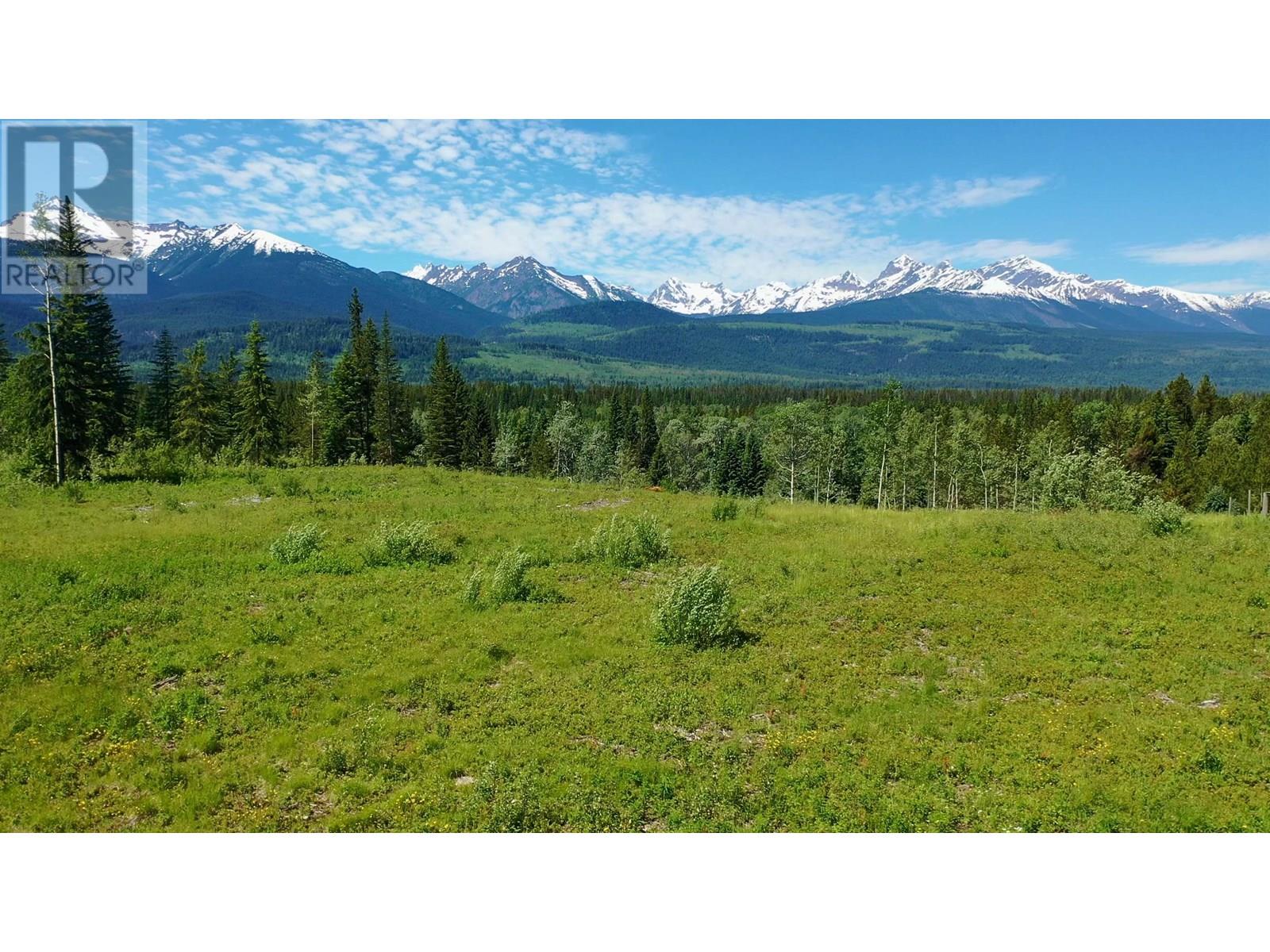 LOT 3 O'DWYER ROAD, Valemount