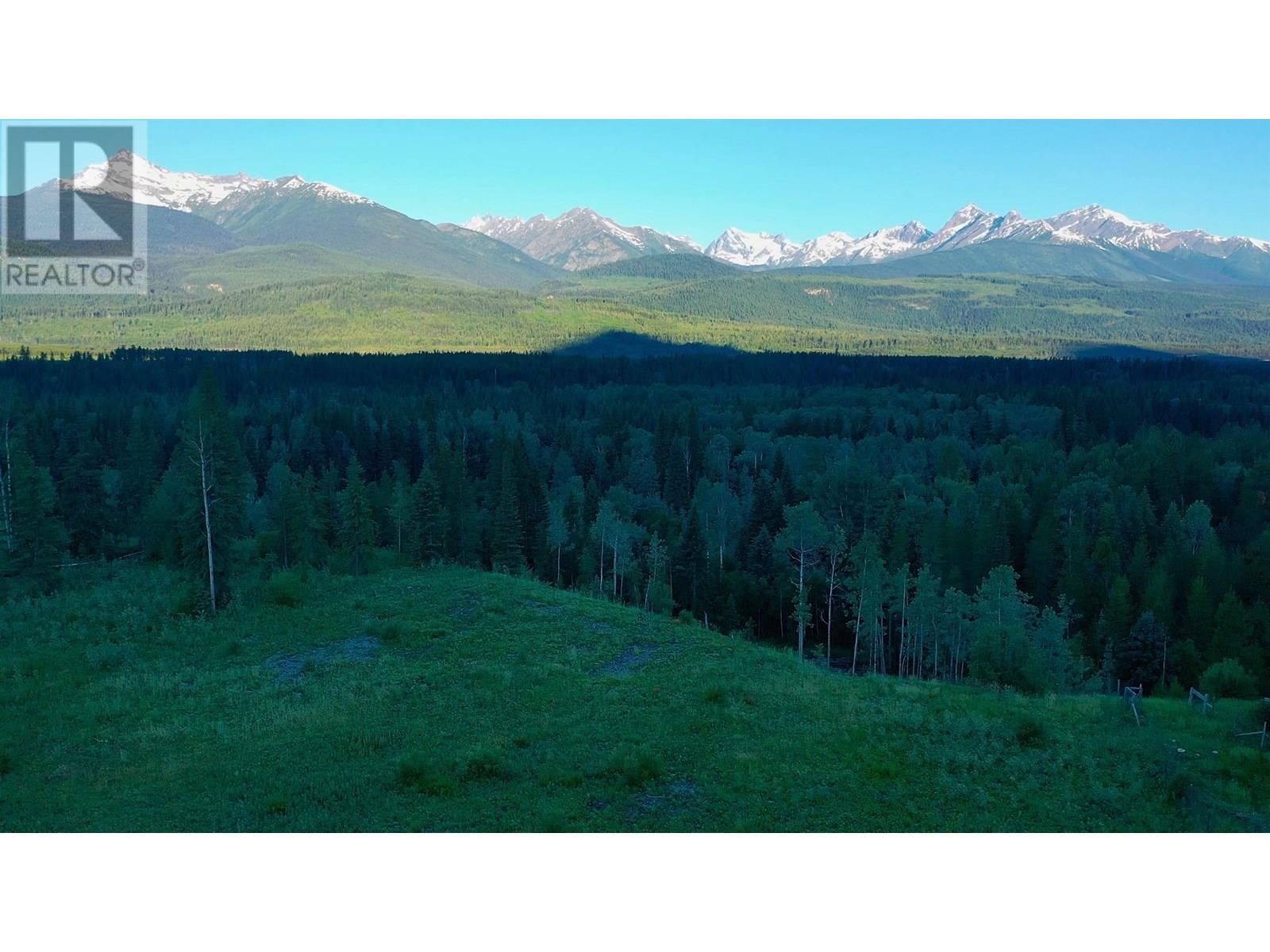 LOT 3 O'DWYER ROAD, Valemount
