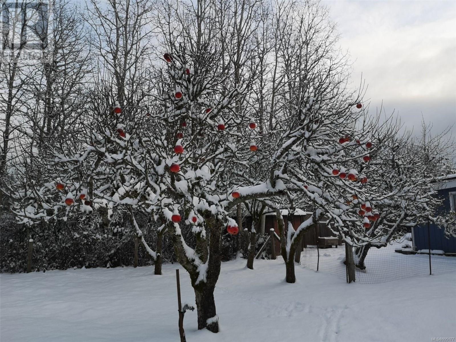 3025 Cobble Hill Rd, Mill Bay