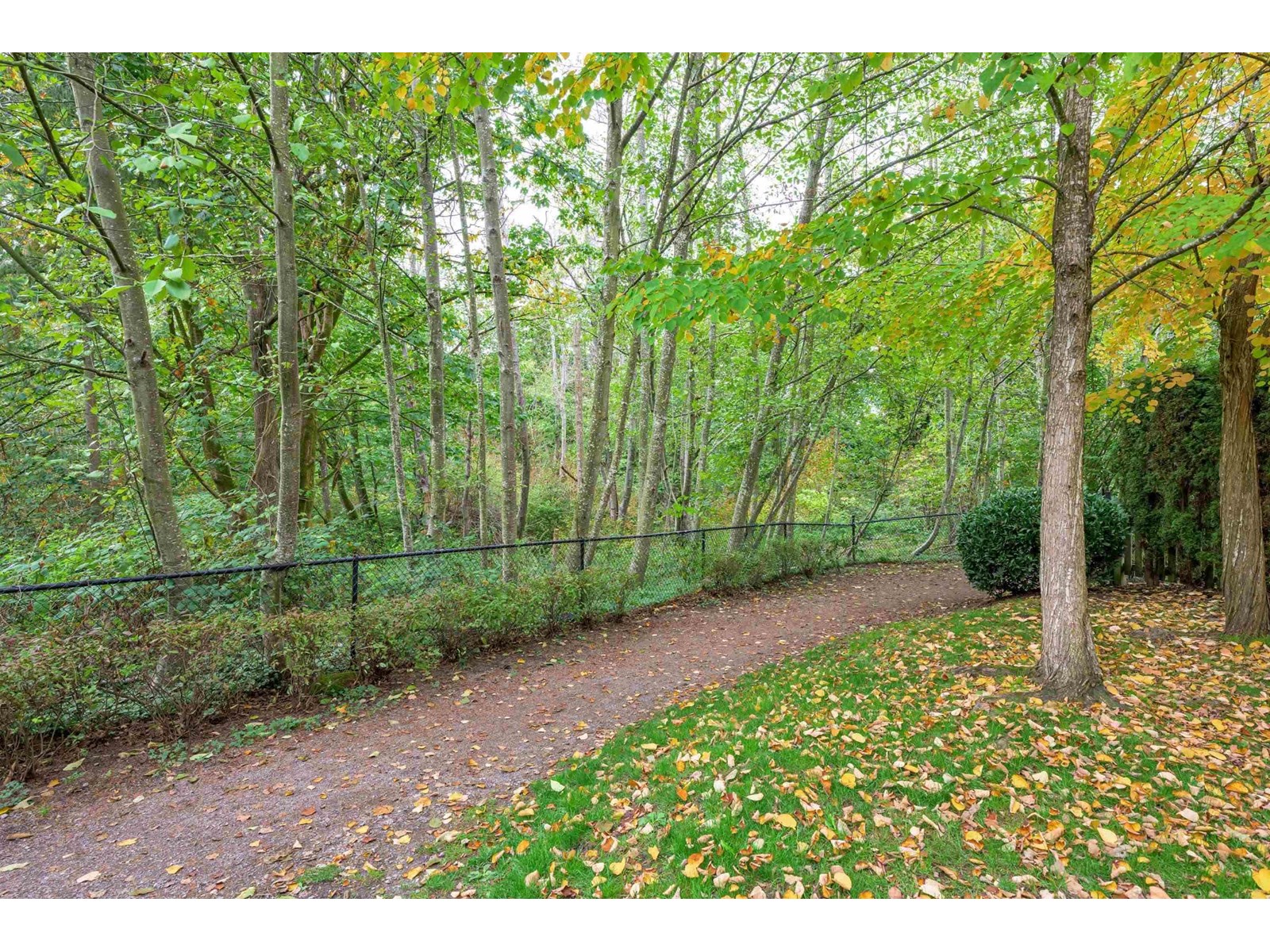 37 15151 34 AVENUE, Surrey real estate listing R2981175