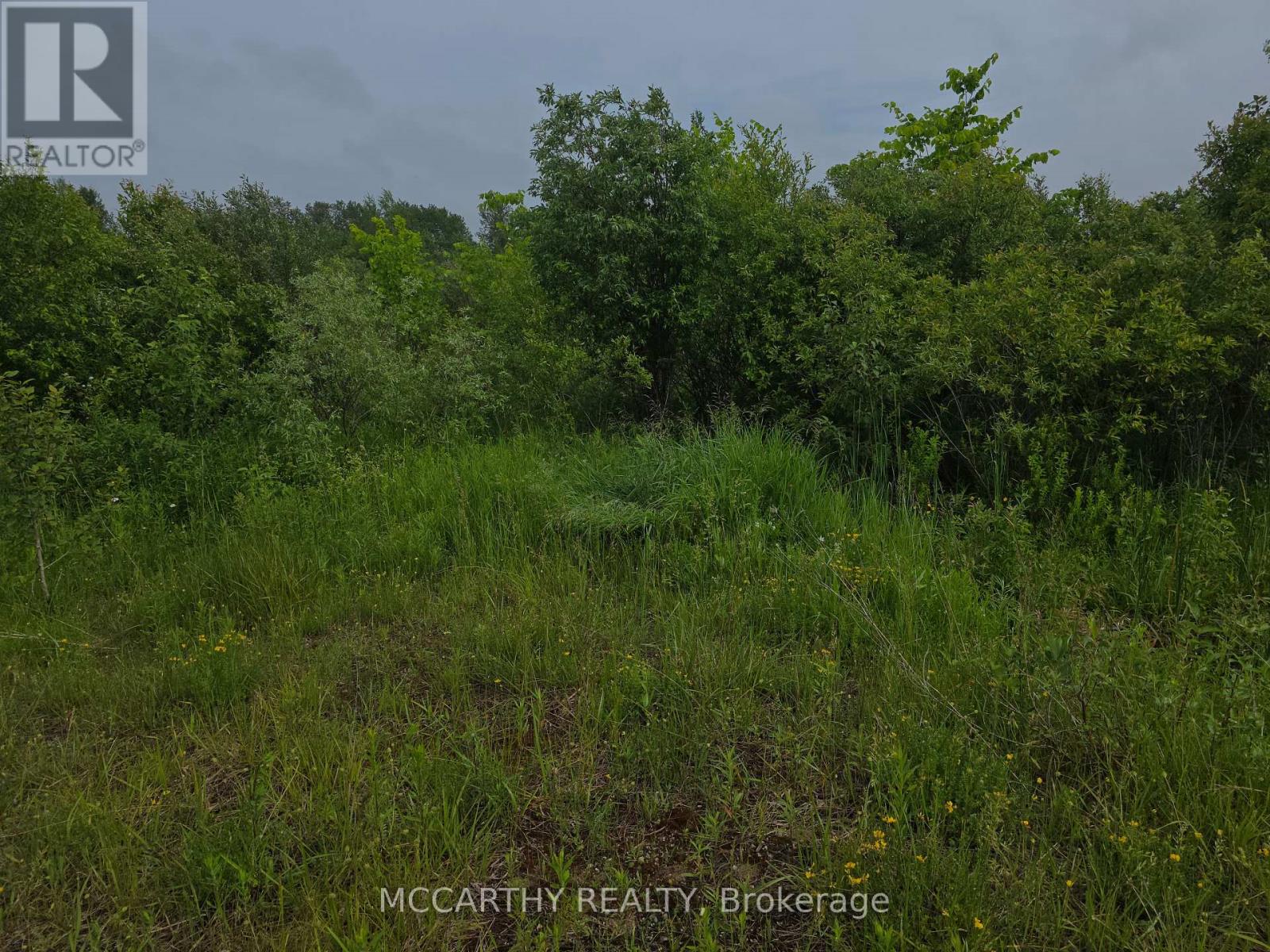 Photo 5 of 201 Con 2 Swtsr, Southgate ON