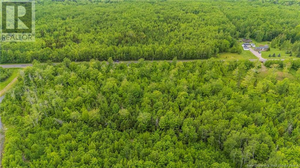 Photo 10 of Lot 17 2 Collins Lake Road, Shemogue NB