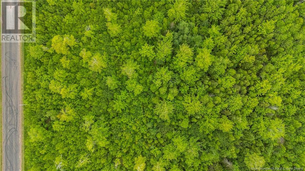 Photo 15 of Lot 17 2 Collins Lake Road, Shemogue NB