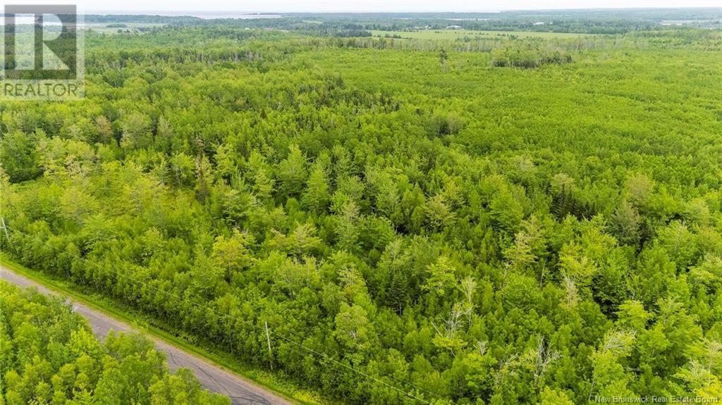 Photo 8 of Lot 17 2 Collins Lake Road, Shemogue NB