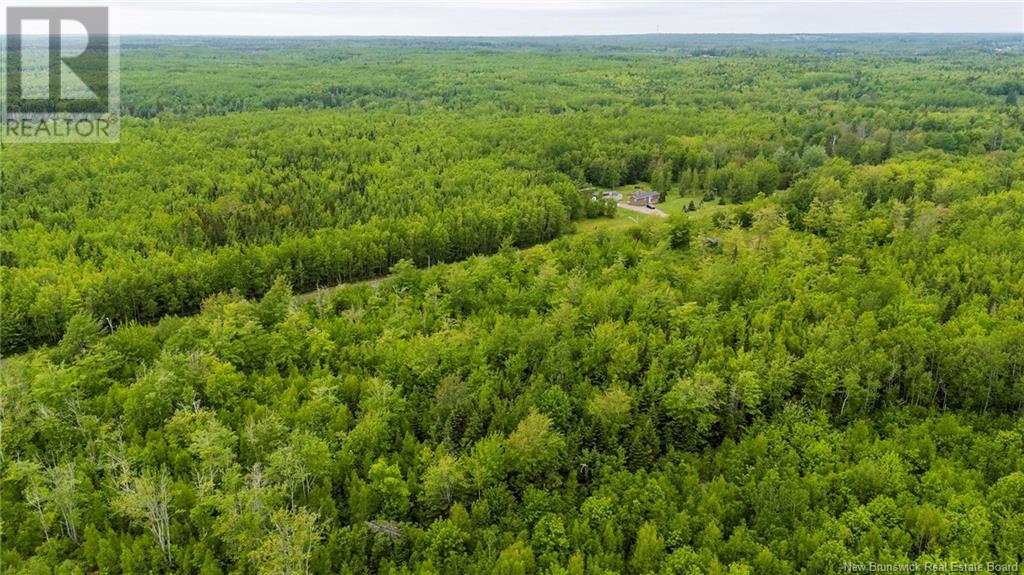 Photo 9 of Lot 17 2 Collins Lake Road, Shemogue NB