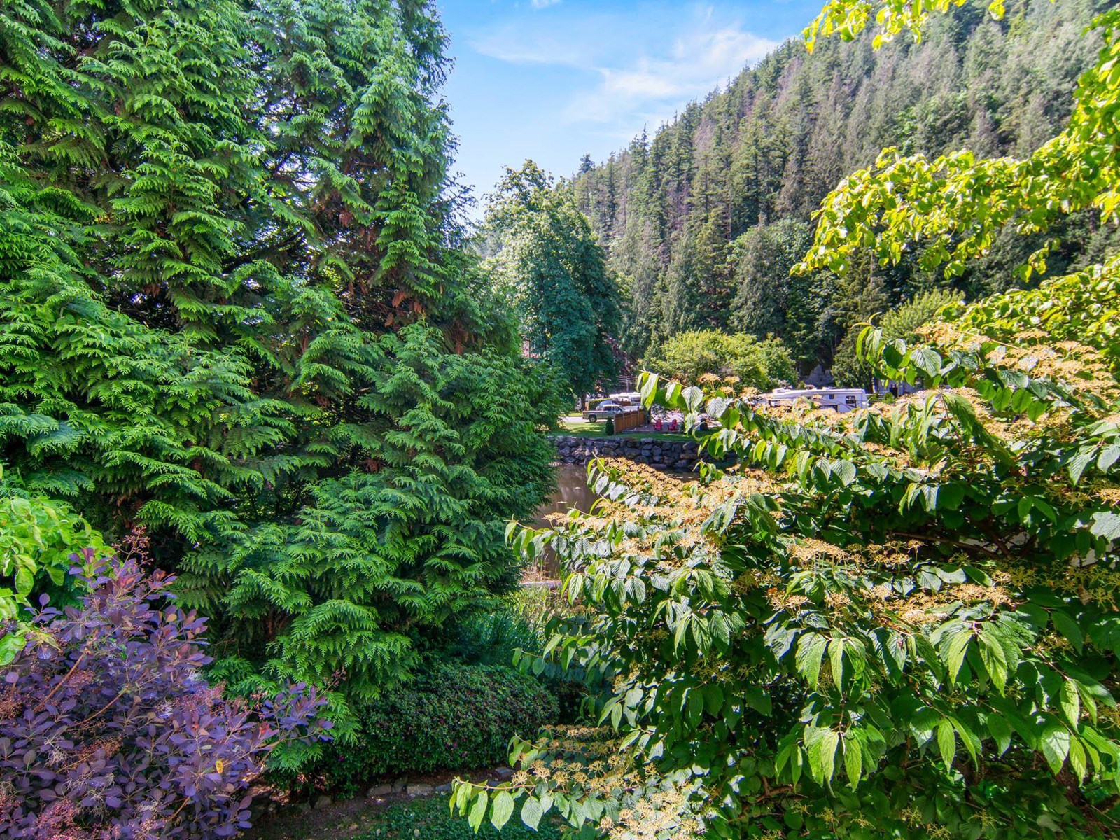 106 170 CEDAR AVENUE, Harrison Hot Springs, Harrison Hot Springs