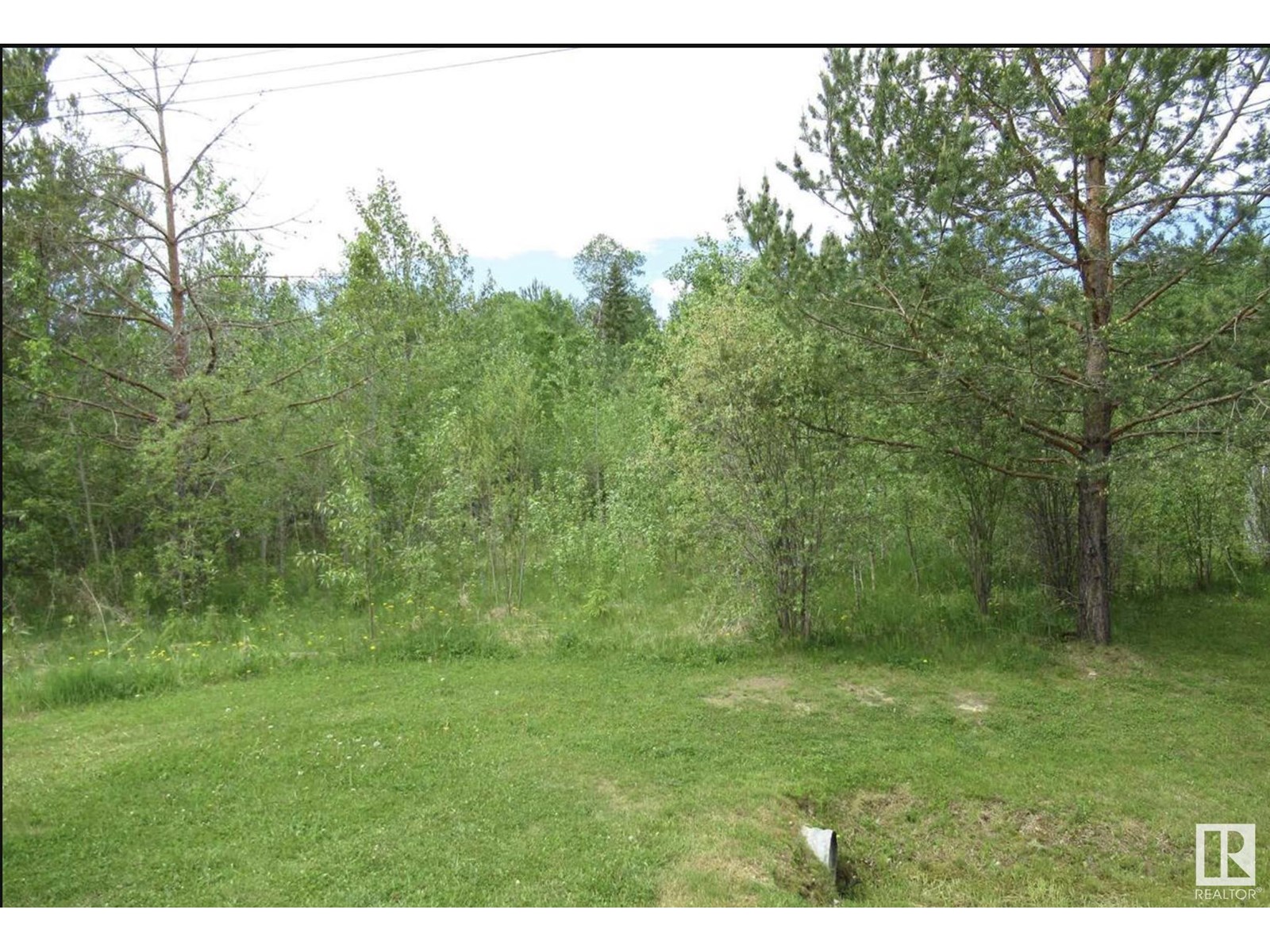 Photo 6 of 6901 51 St, Rural Wetaskiwin County AB