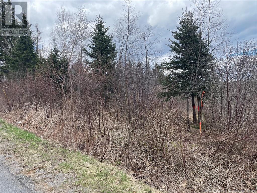 Photo 10 of Lot 2 Mcgraw Road, Bains Corner NB
