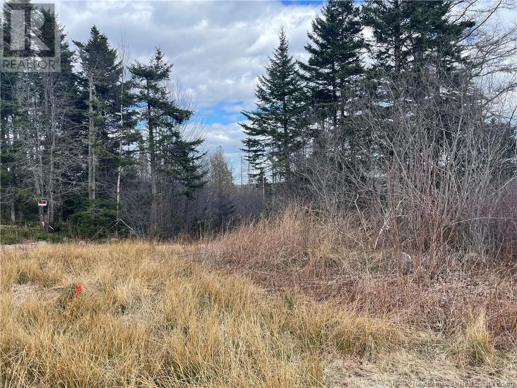 Photo 4 of Lot 2 Mcgraw Road, Bains Corner NB