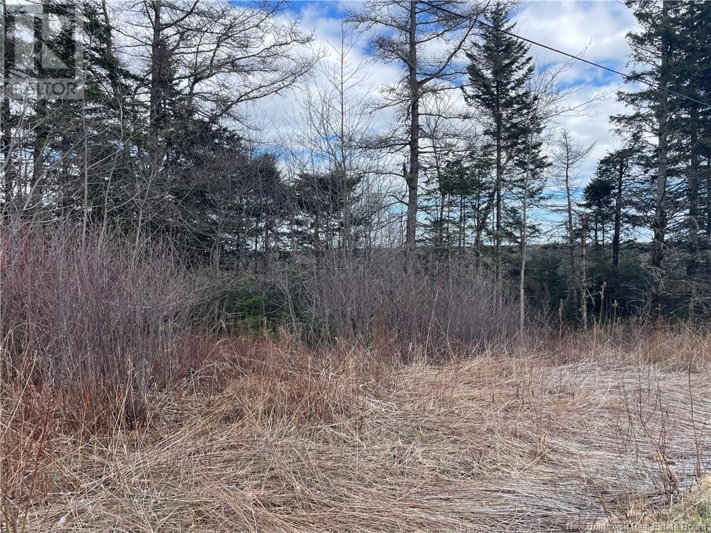Photo 6 of Lot 2 Mcgraw Road, Bains Corner NB