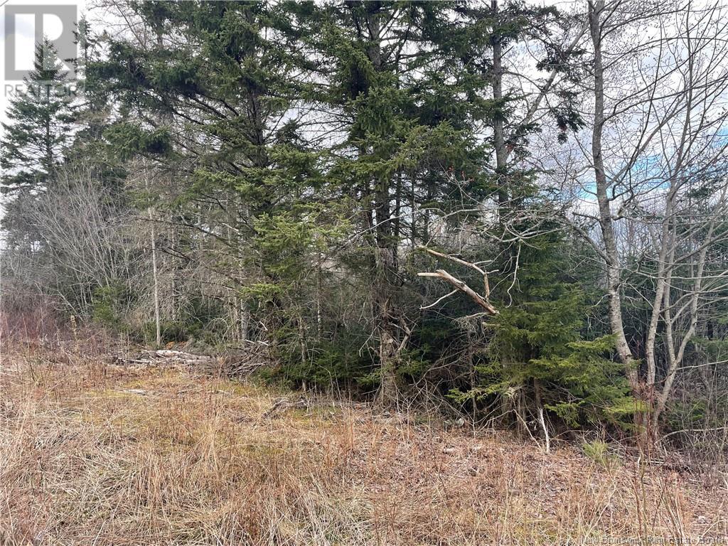 Photo 7 of Lot 2 Mcgraw Road, Bains Corner NB