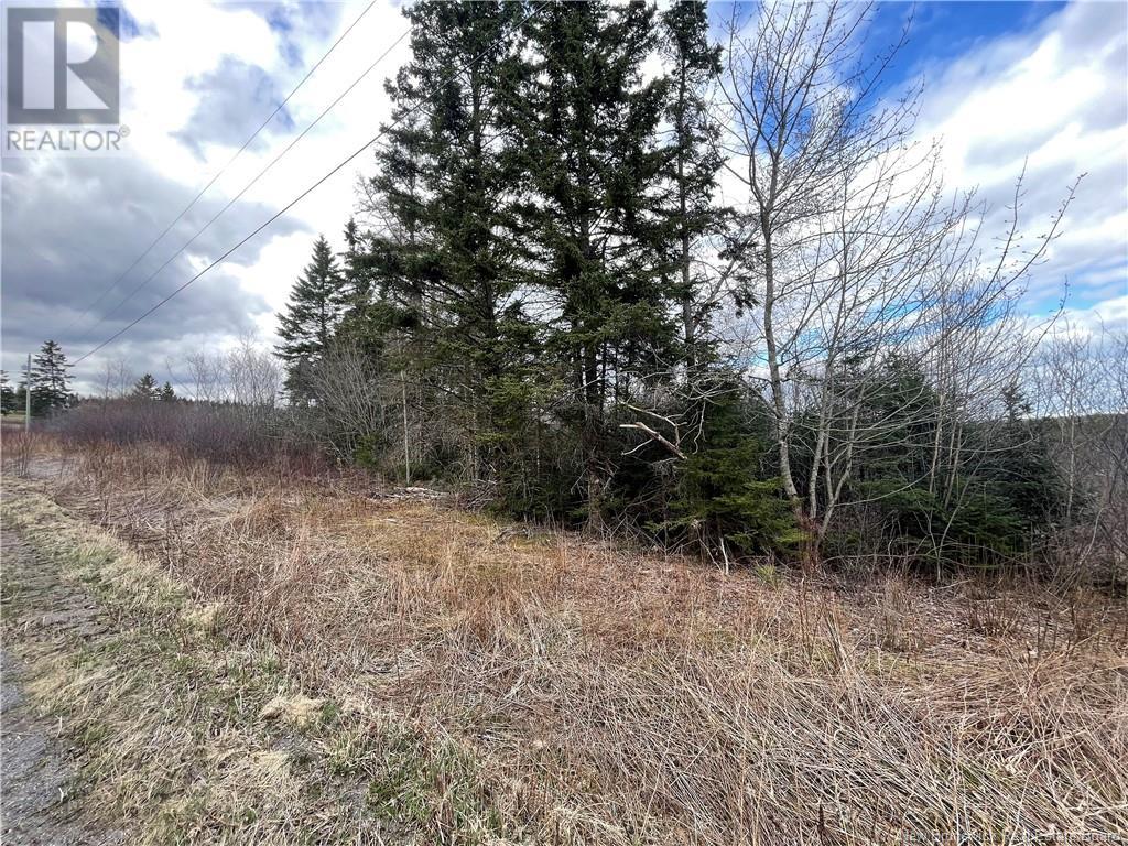 Photo 8 of Lot 2 Mcgraw Road, Bains Corner NB
