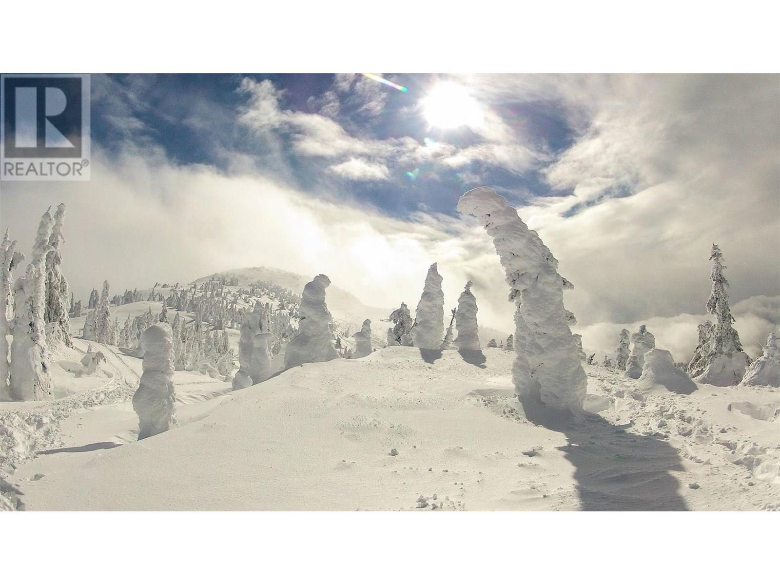 240A Grizzly Ridge Trail, Big White