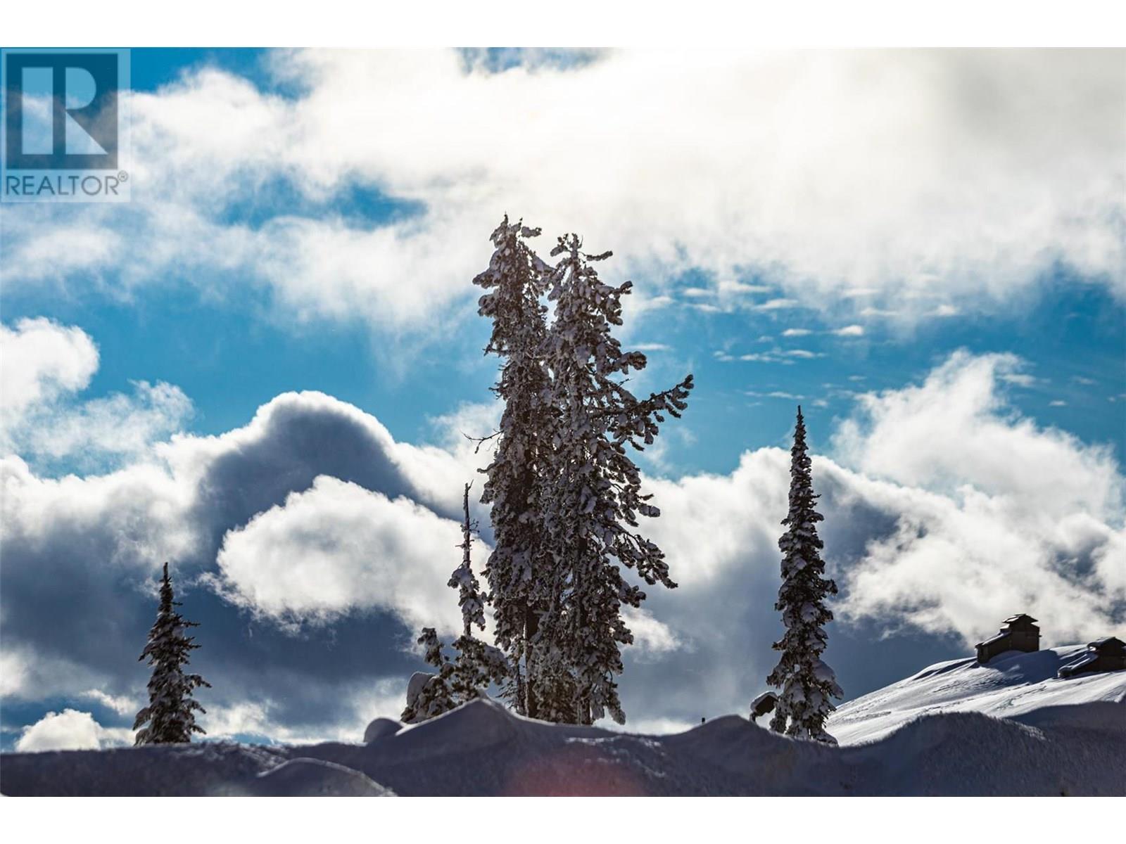 240A Grizzly Ridge Trail, Big White