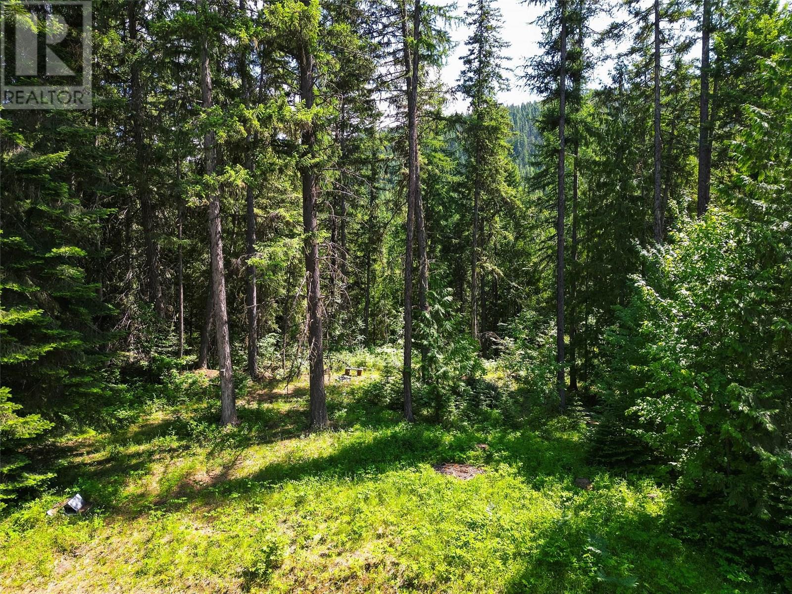 Photo 63 of 4226 Shasheen Road, Nelson BC