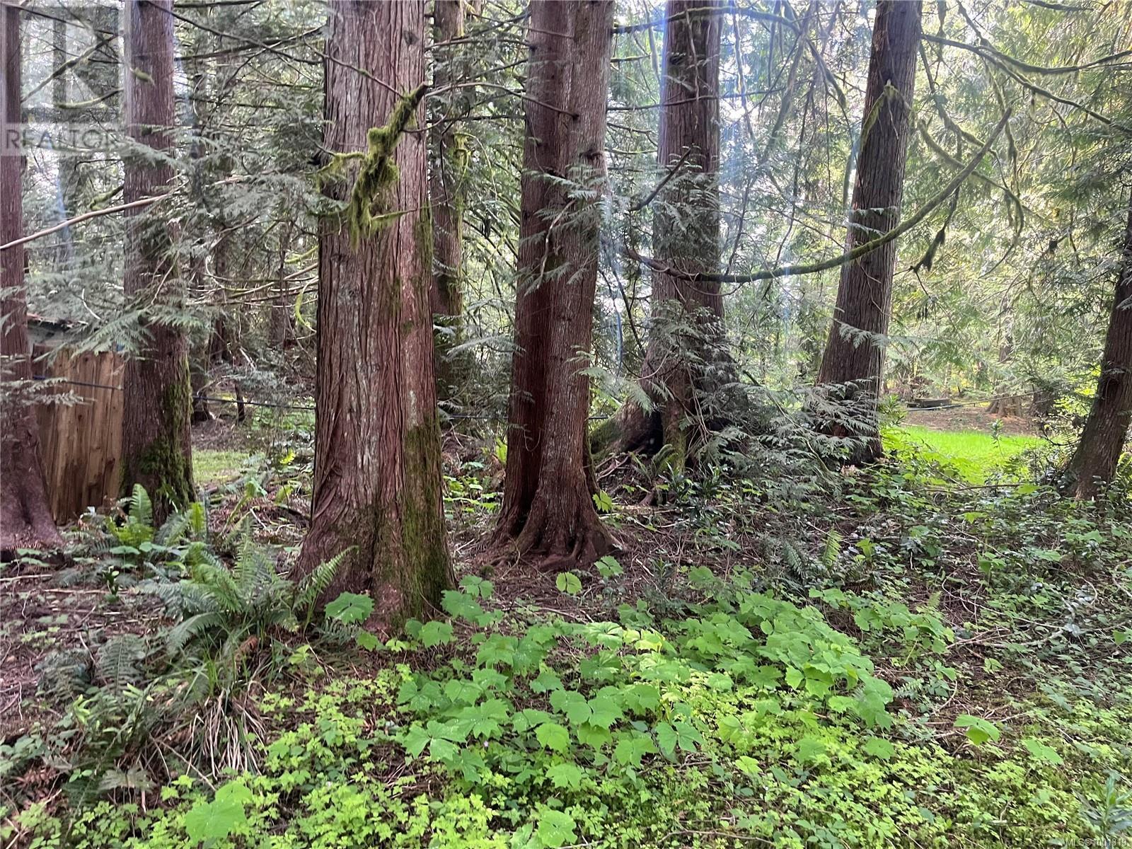 2191 Renfrew Rd, Shawnigan Lake
