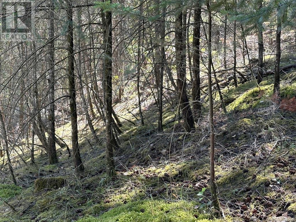 Photo 6 of Lot 141 Coho Blvd, Mudge Island BC