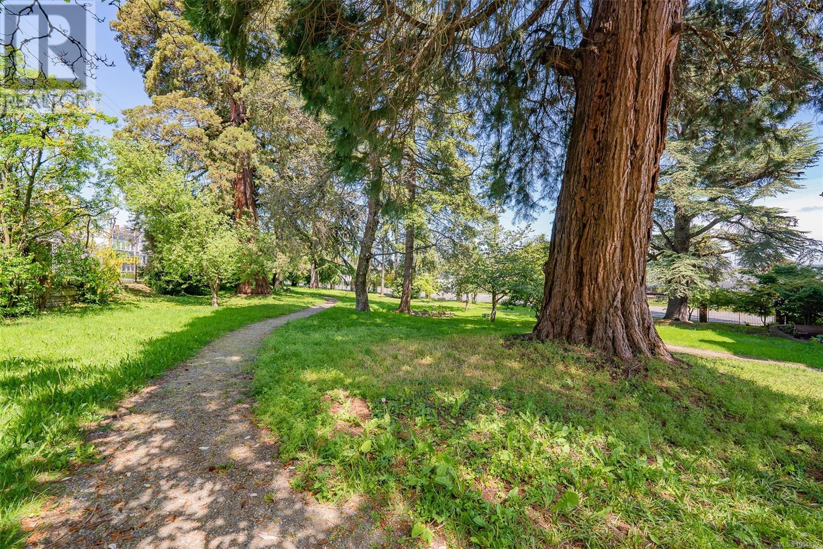 304 104 Esplanade St, Nanaimo