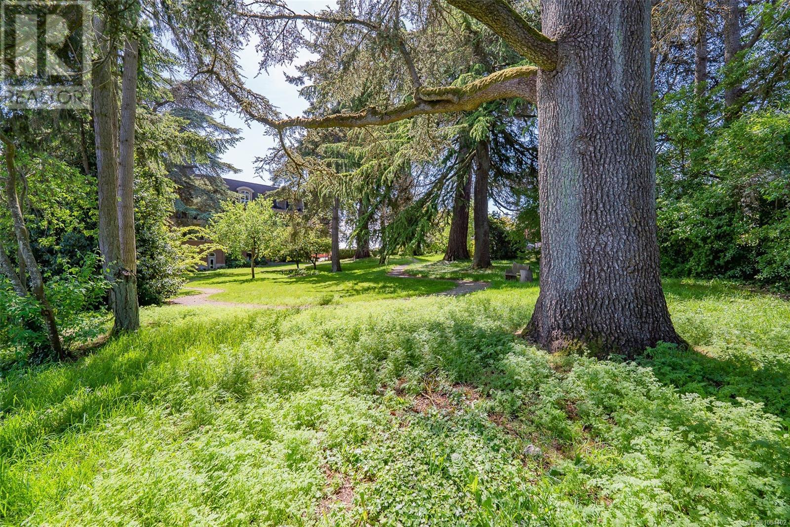 304 104 Esplanade St, Nanaimo