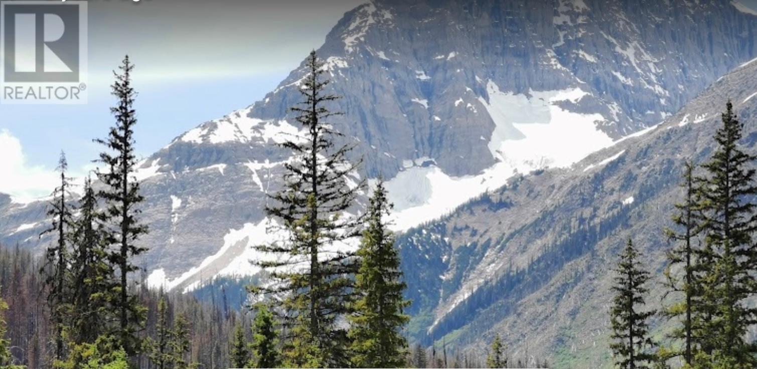  9500 Highway 93 Other South, Spillimacheen