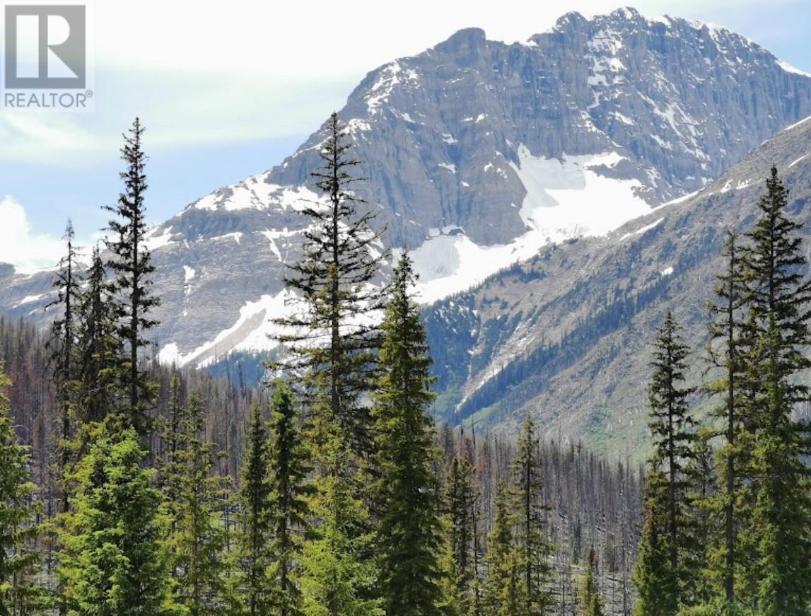  9500 Highway 93 Other South, Spillimacheen