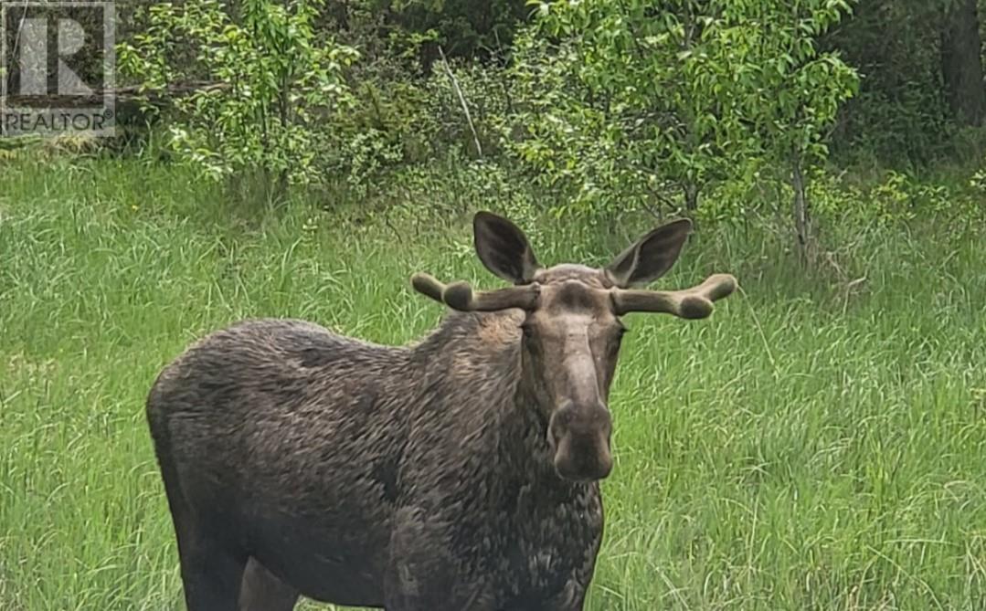  9500 Highway 93 Other South, Spillimacheen