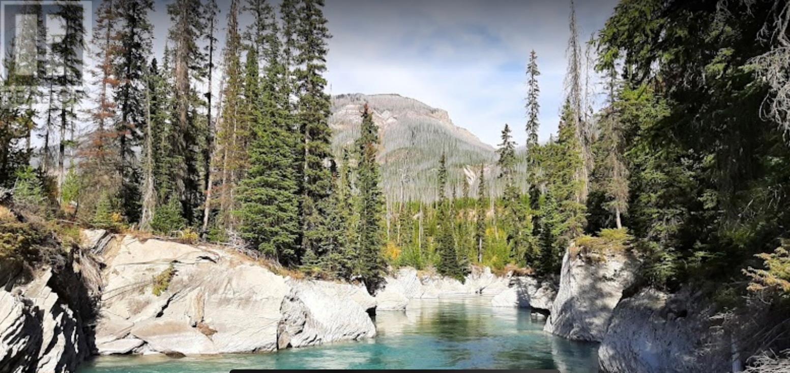  9500 Highway 93 Other South, Spillimacheen