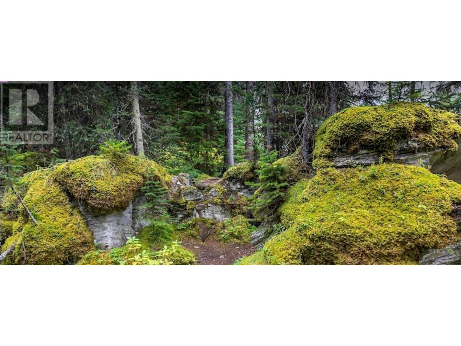  9500 Highway 93 Other South, Spillimacheen