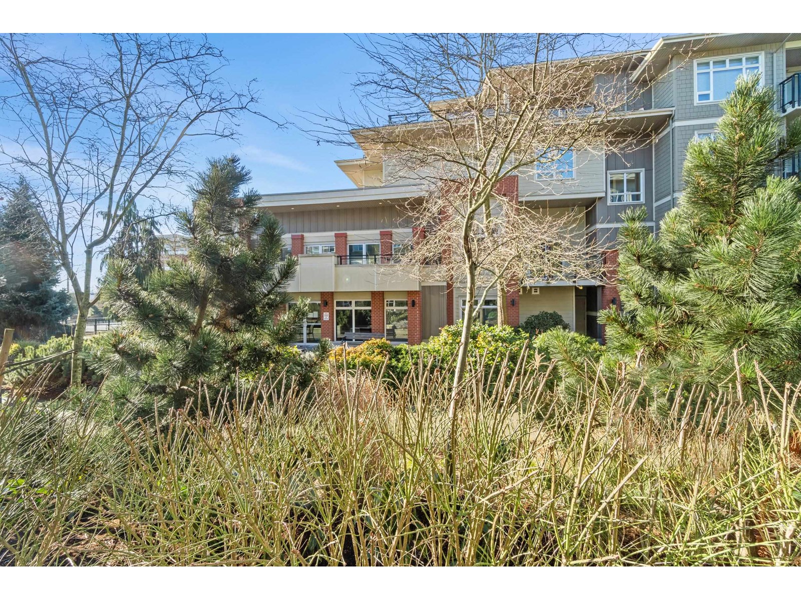 Photo 21 of E 105 20211 66 Avenue, Langley BC