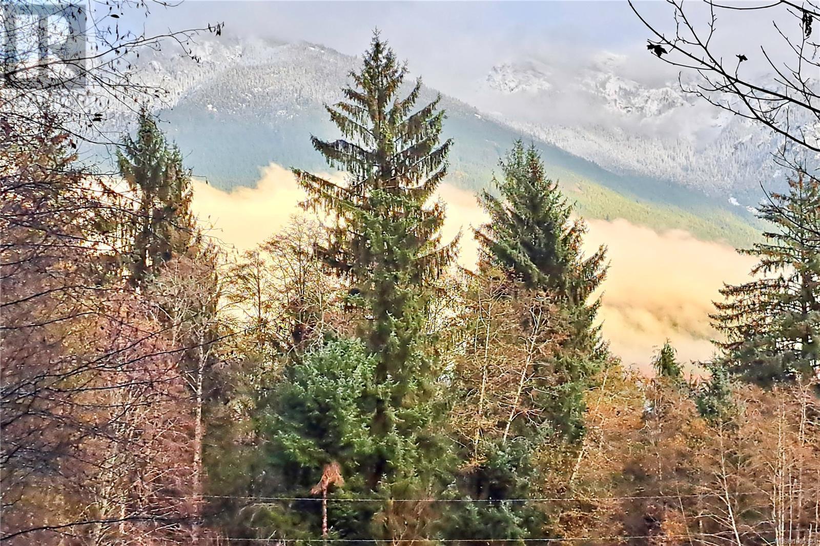 Photo 83 of 1165 Salmon River Main, Sayward BC