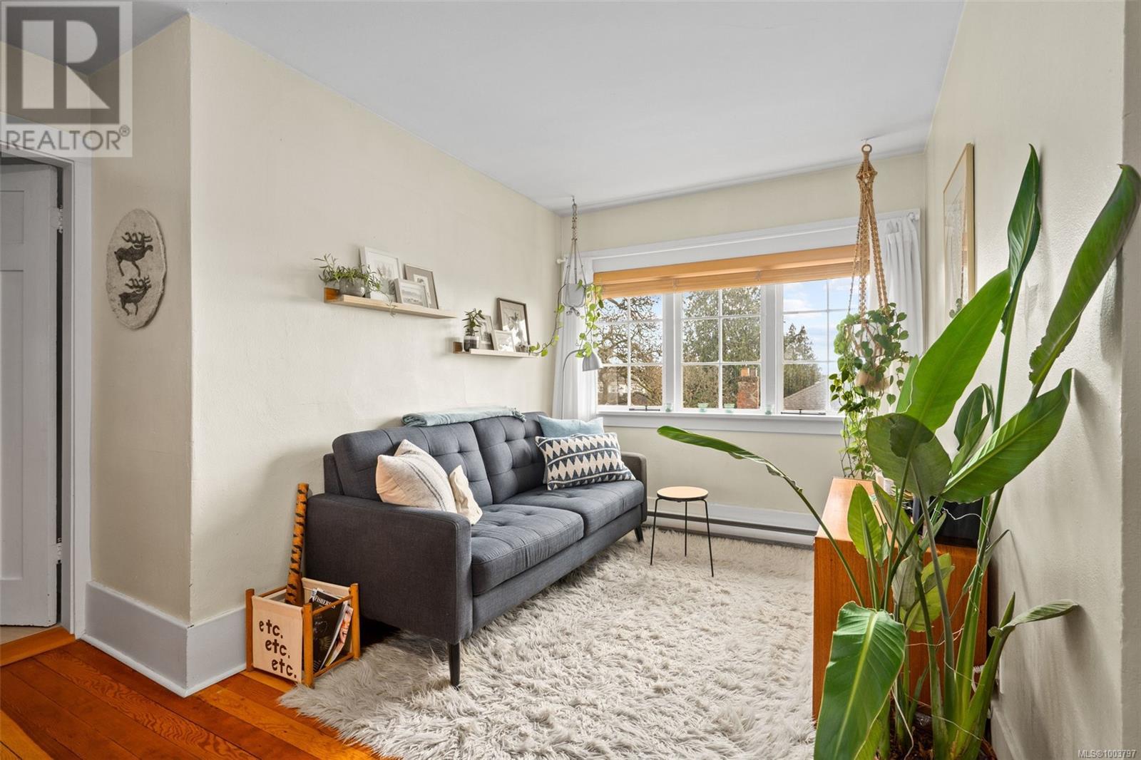 337 Moss St, Victoria