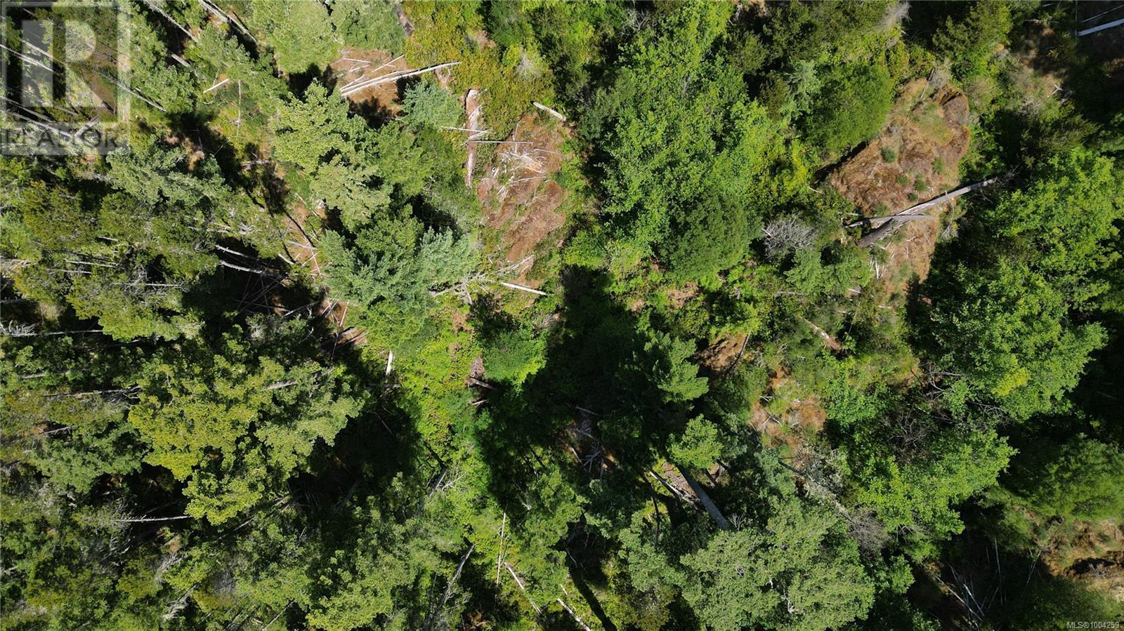 Photo 11 of 3799 Otter Point Rd, Sooke BC
