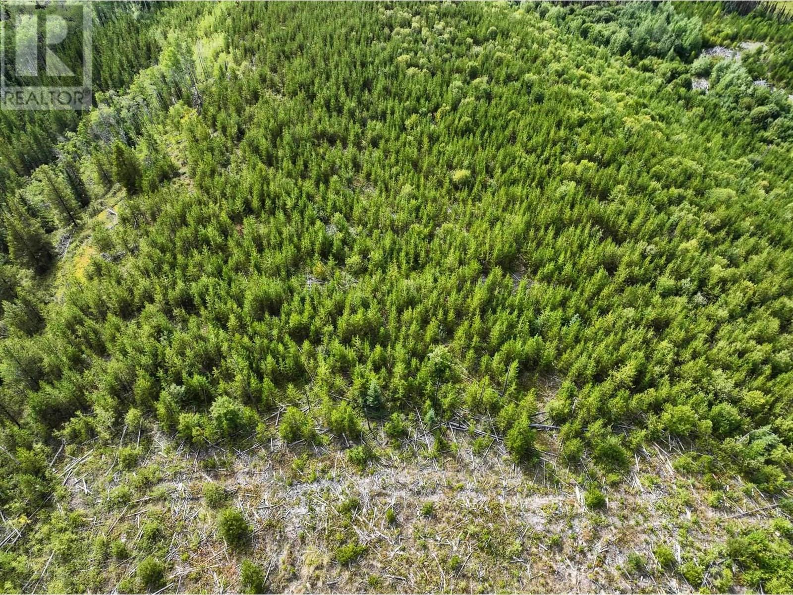 Photo 14 of Lot 4 Saxton Lake Road, Prince George BC