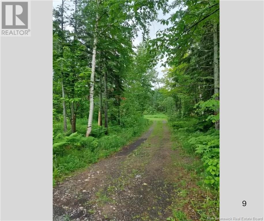 Photo 11 of 717 Chemin Laplante, Alcida NB