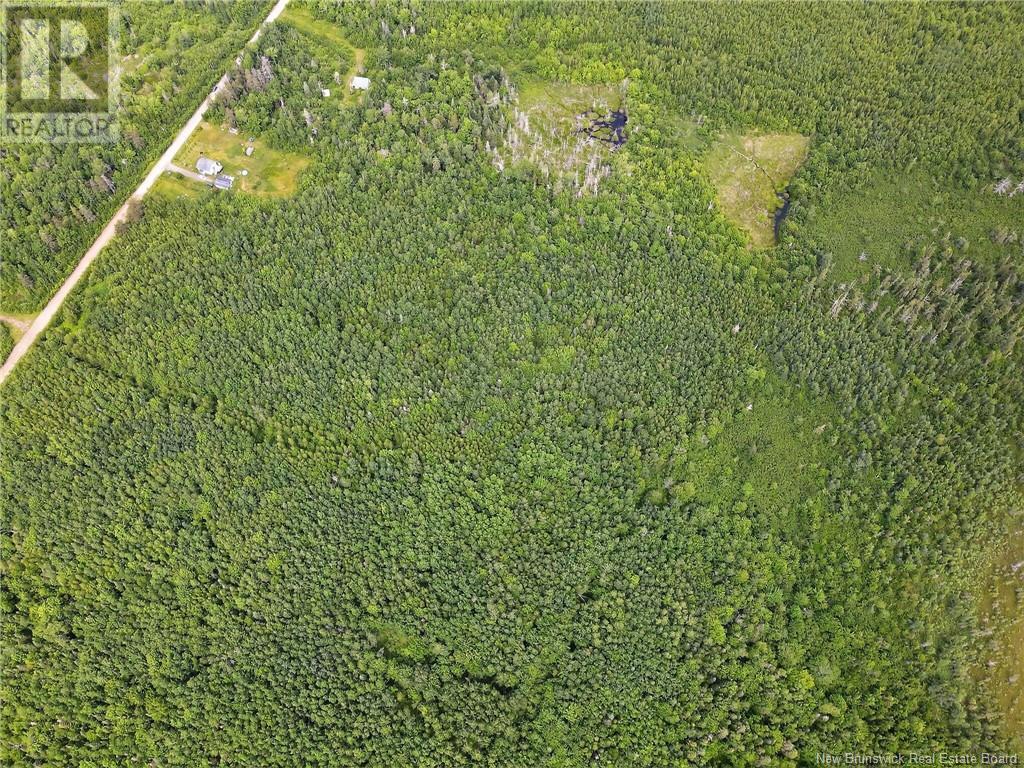 Photo 11 of Lot Saint Augustine, Adamsville NB