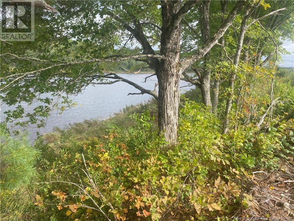 Photo 6 of 8562 Sqm Cains River Road, Upper Blackville NB