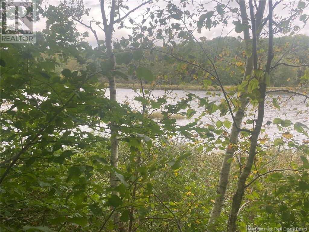Photo 7 of 8562 Sqm Cains River Road, Upper Blackville NB